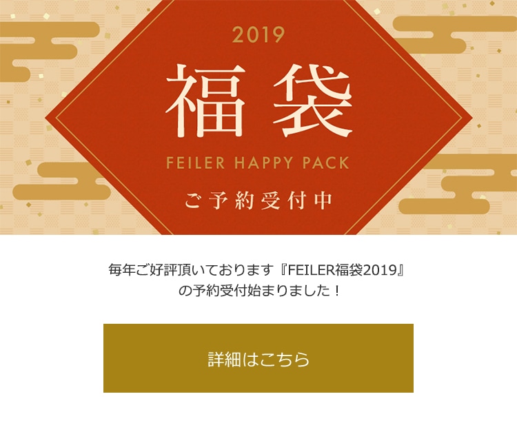 FEILER2019\
