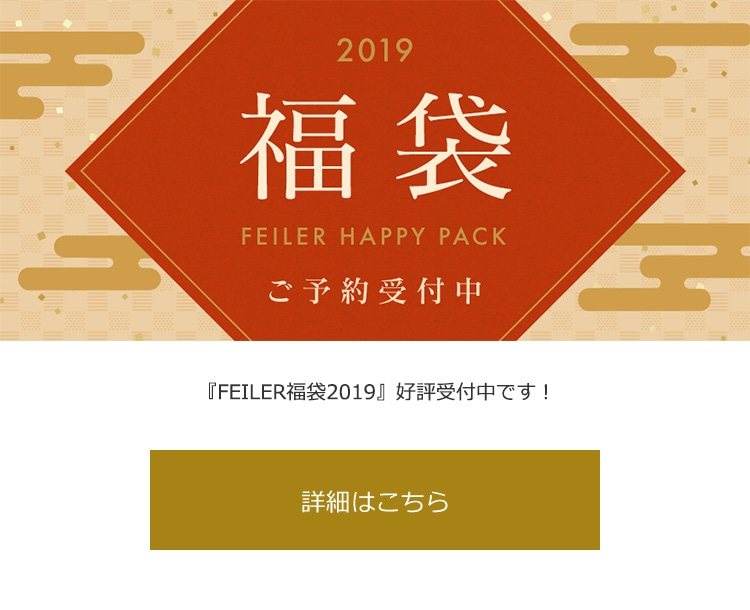 FEILER2019\