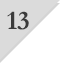 RANK13